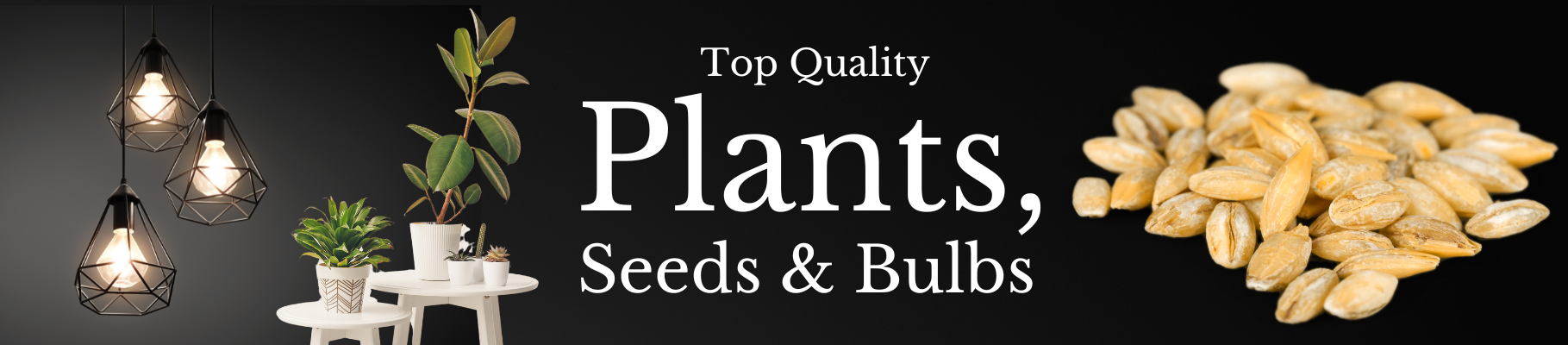 best plants, seeds and bulbs